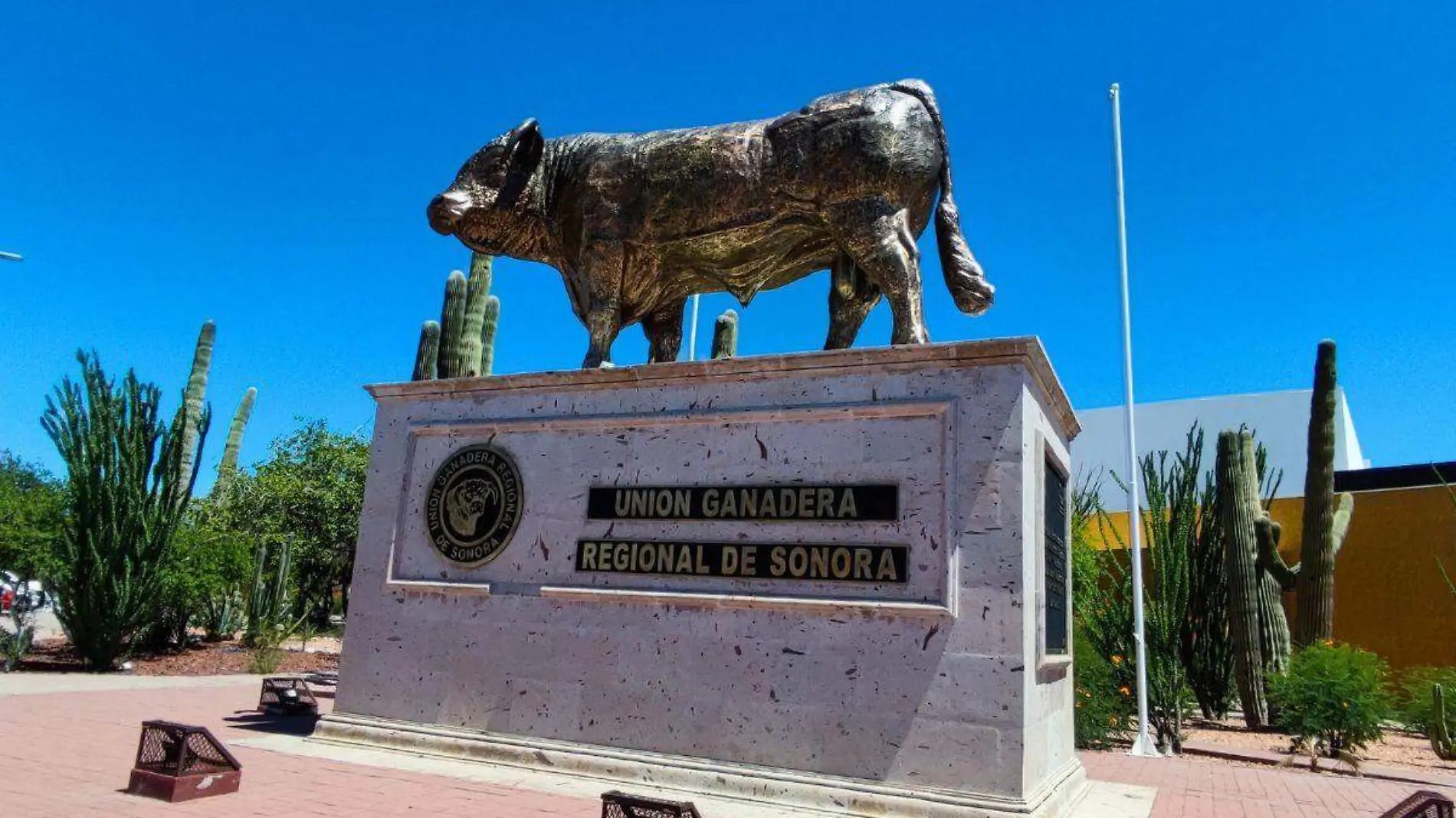 Union ganadera